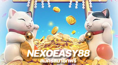 NEXOEASY88